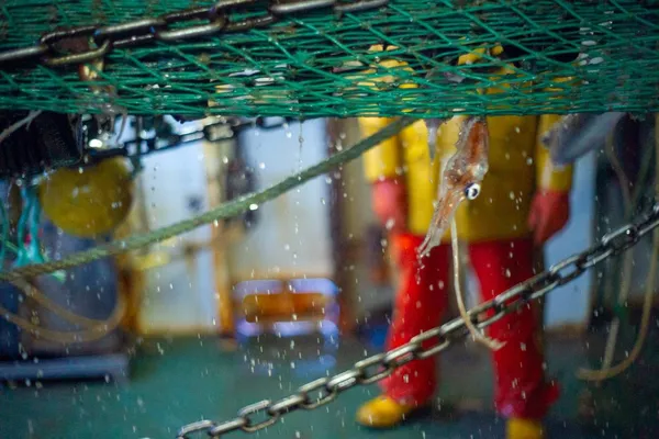 The net being winched aboard
